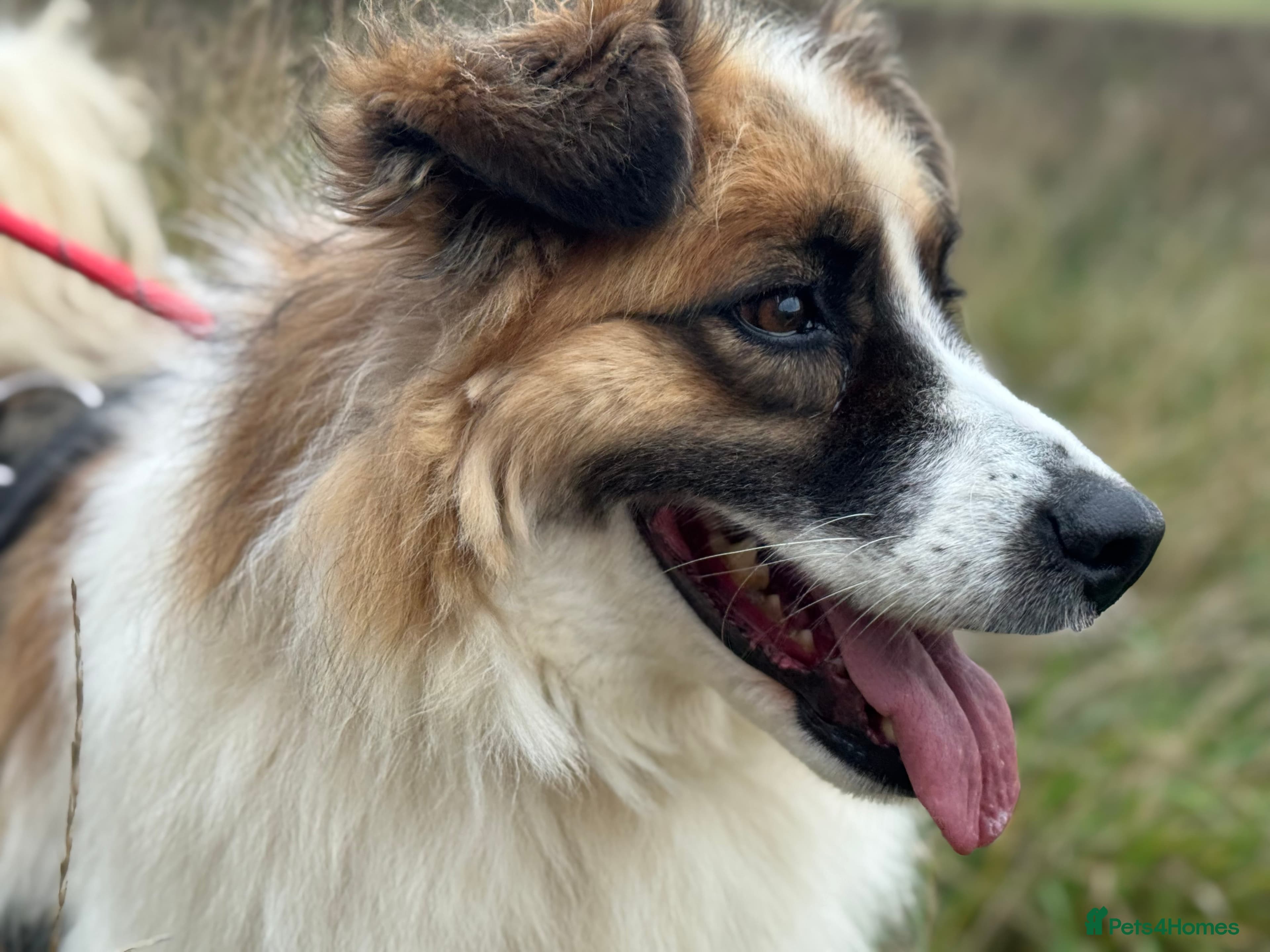 Jessie ❤️ photo 11