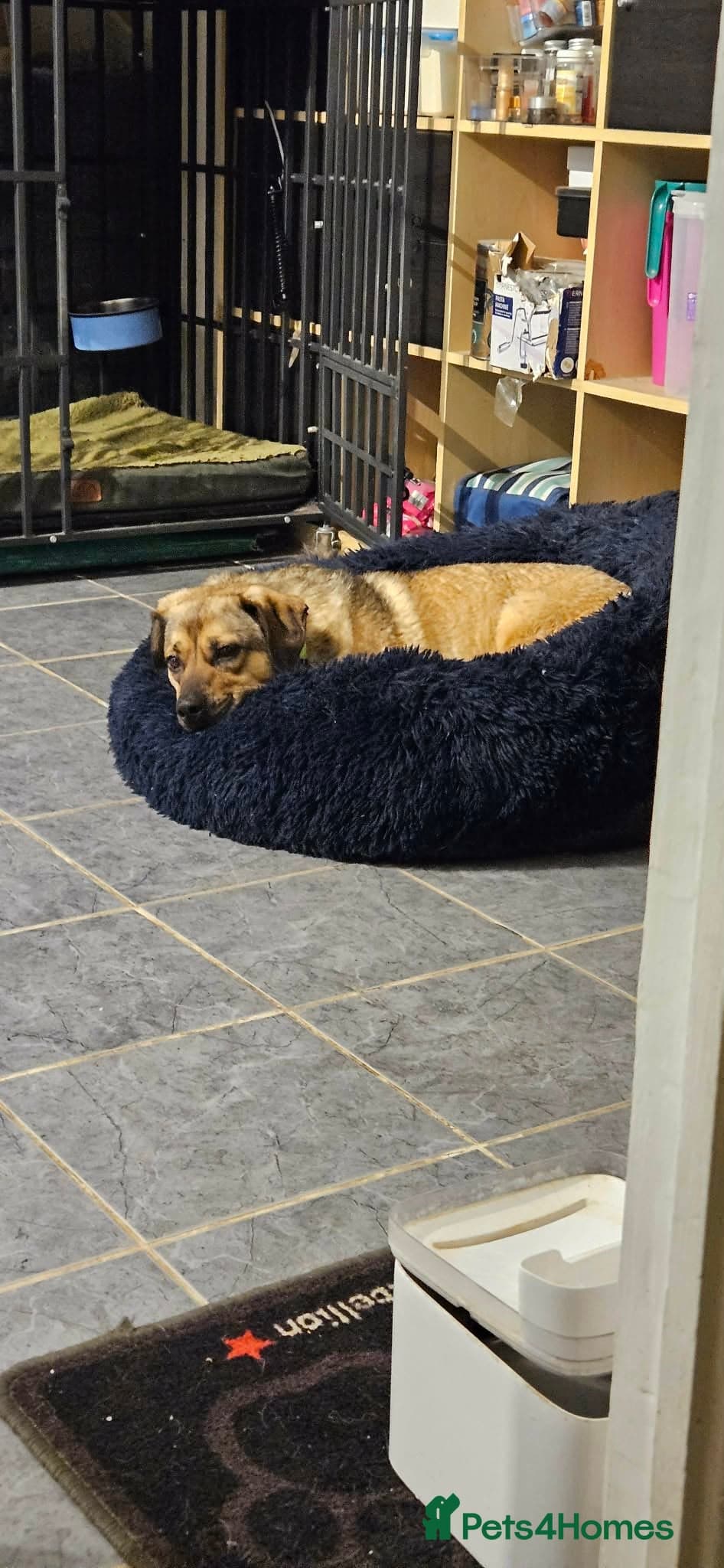 Playful Philly photo 2