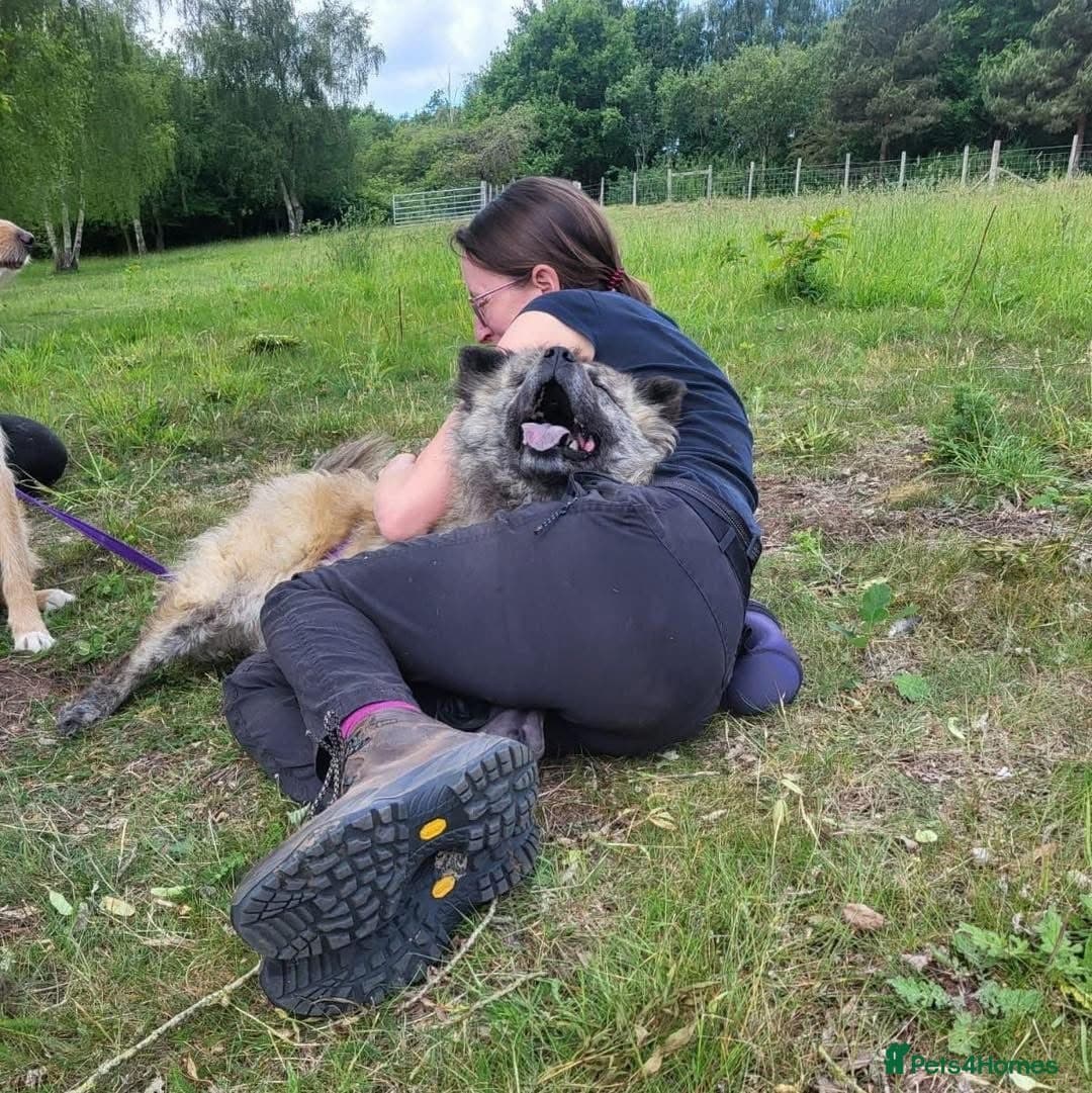 Luna Chow 💜 photo 8