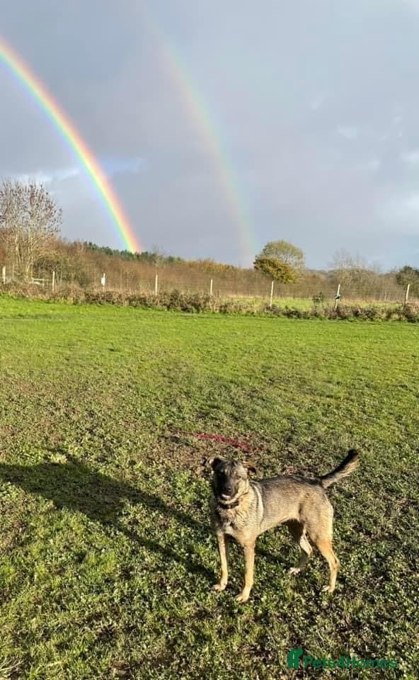 Luna ๐พ๐ photo 4