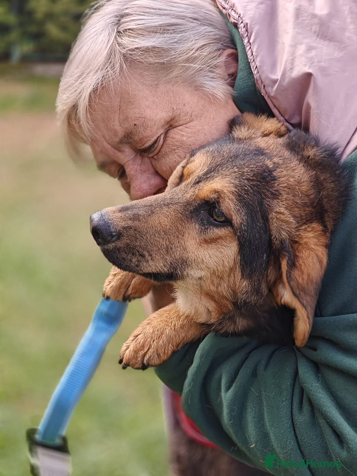 ๏ธ๐ถ yasia photo 17