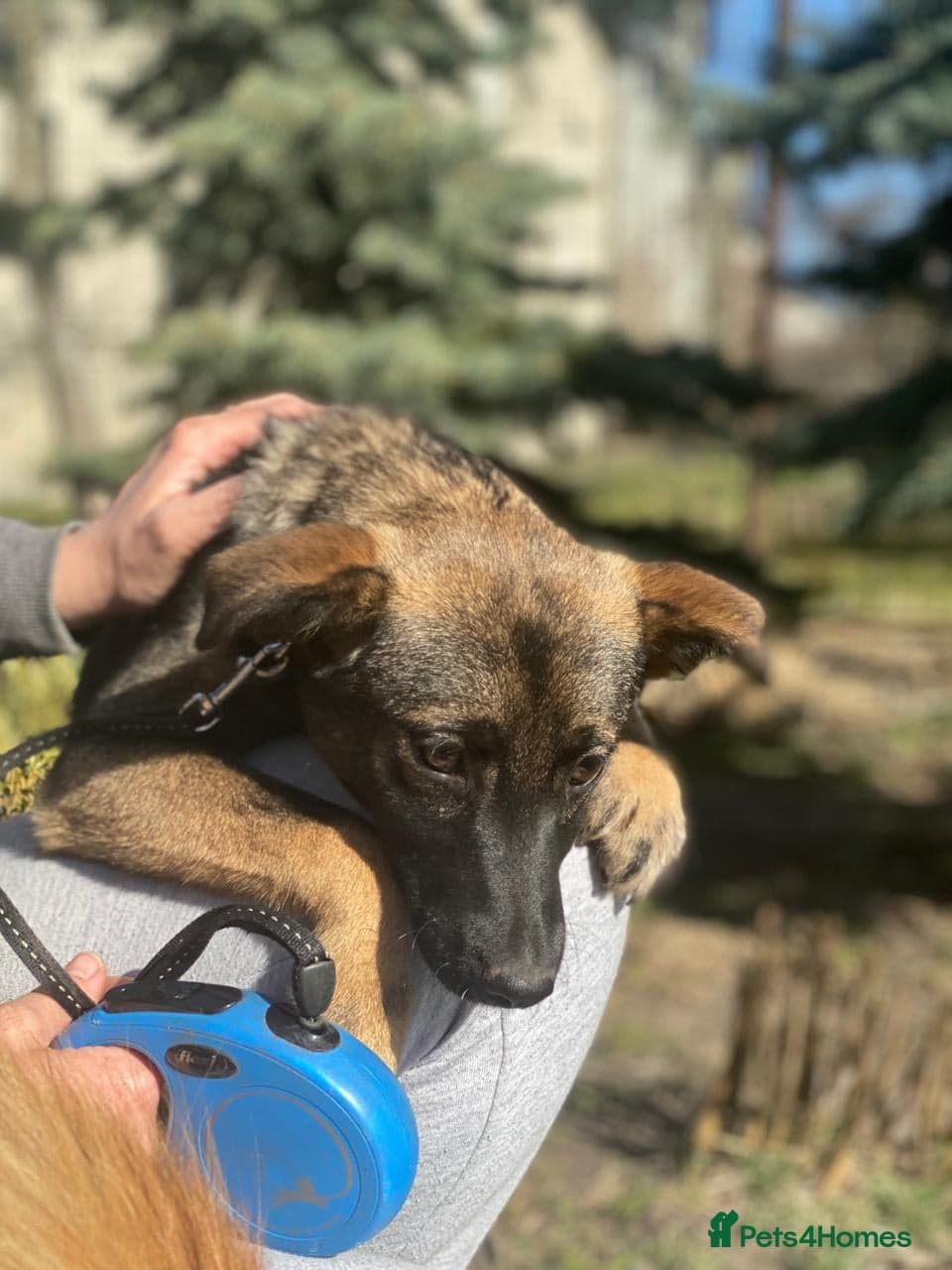 ️🐶 kuba photo 14