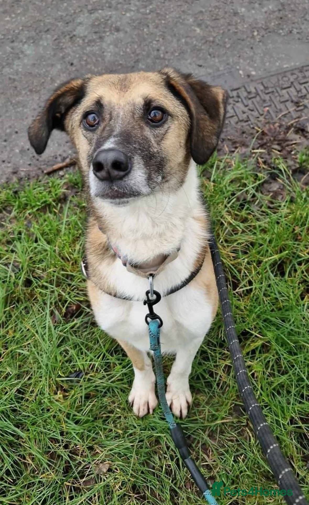 Meet Erol, currently residing in Surrey photo 11