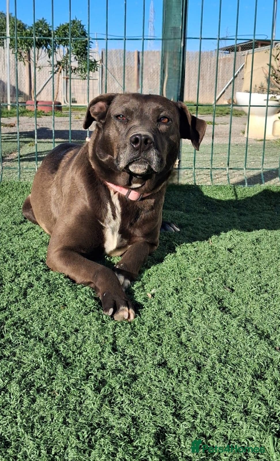 Sira🚨🐾 photo 11