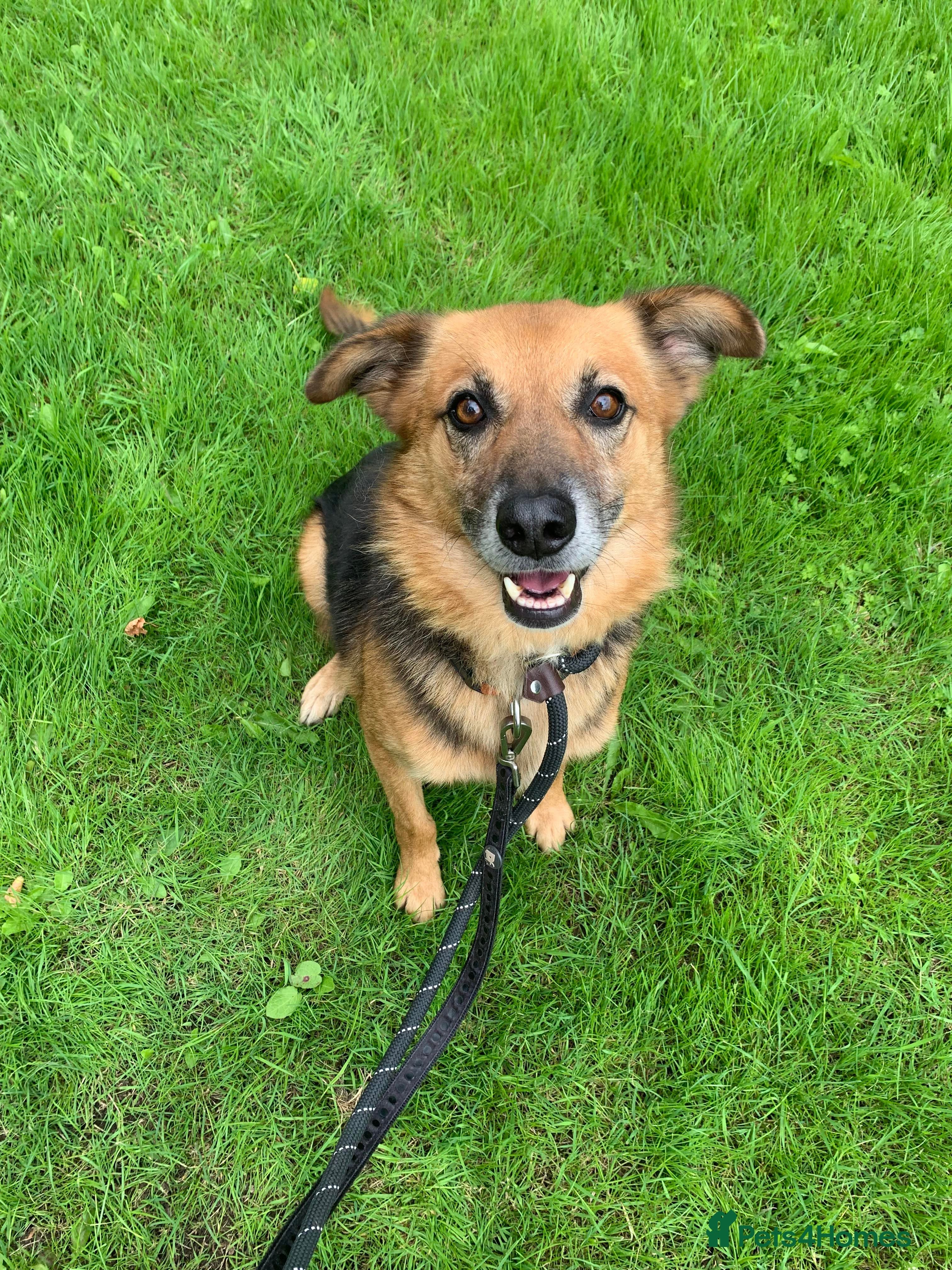 Meet Star, currently residing in Cheshire photo 9