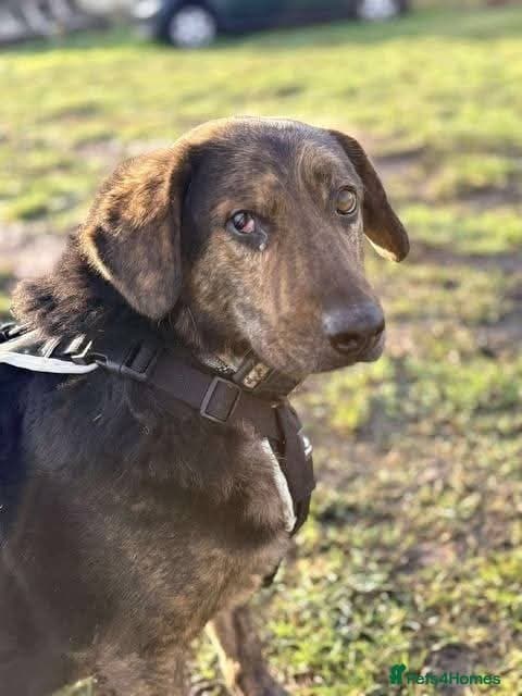 Meet Jess, currently residing in Essex photo 13