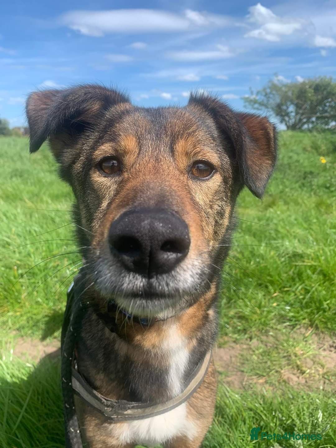 Meet Jake, currently residing in Cheshire photo 22