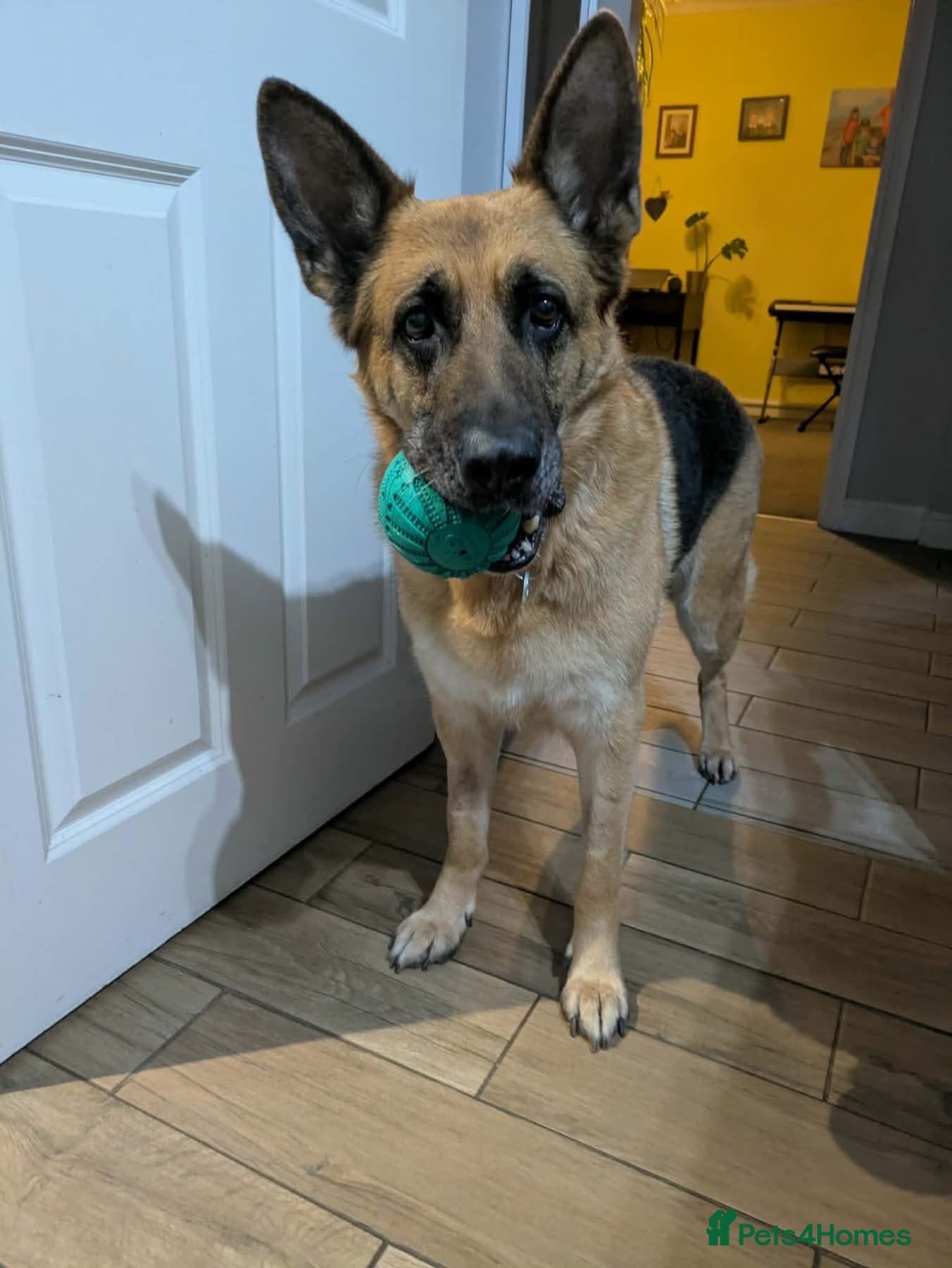 Amy - Norwich Norfolk photo 5