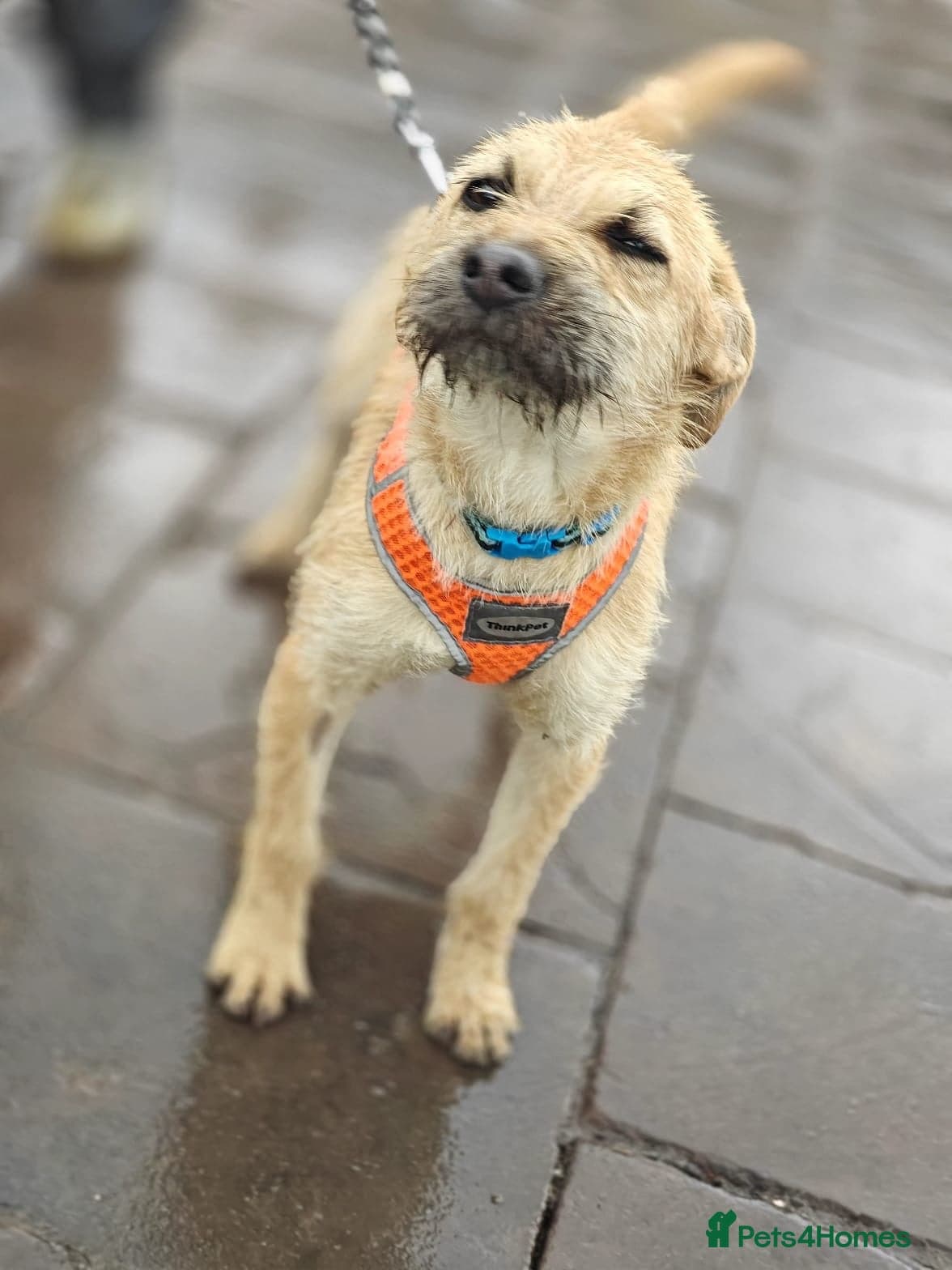 ๏ธ๐ถ bekki photo 19