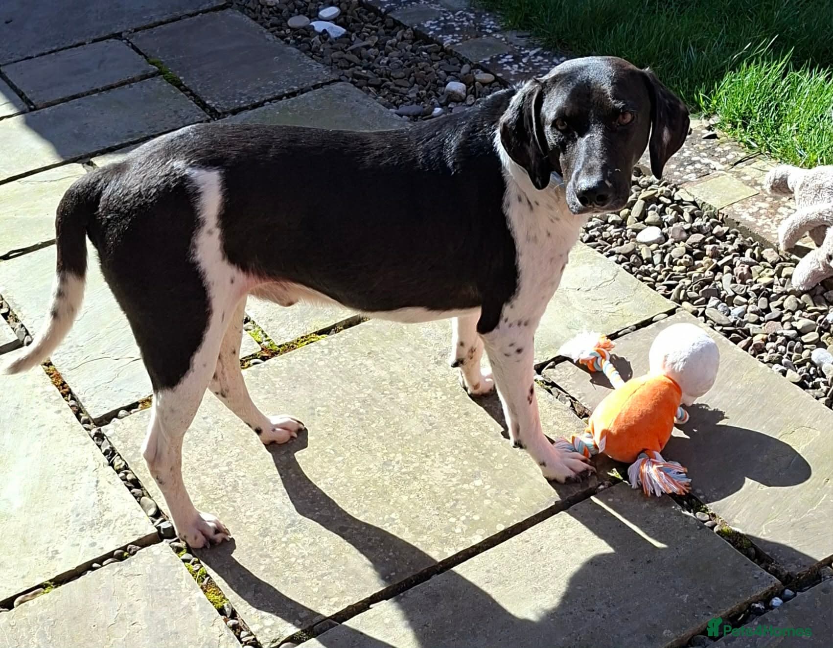 Stratos ! ❤️ a Cypriot sweetheart photo 7