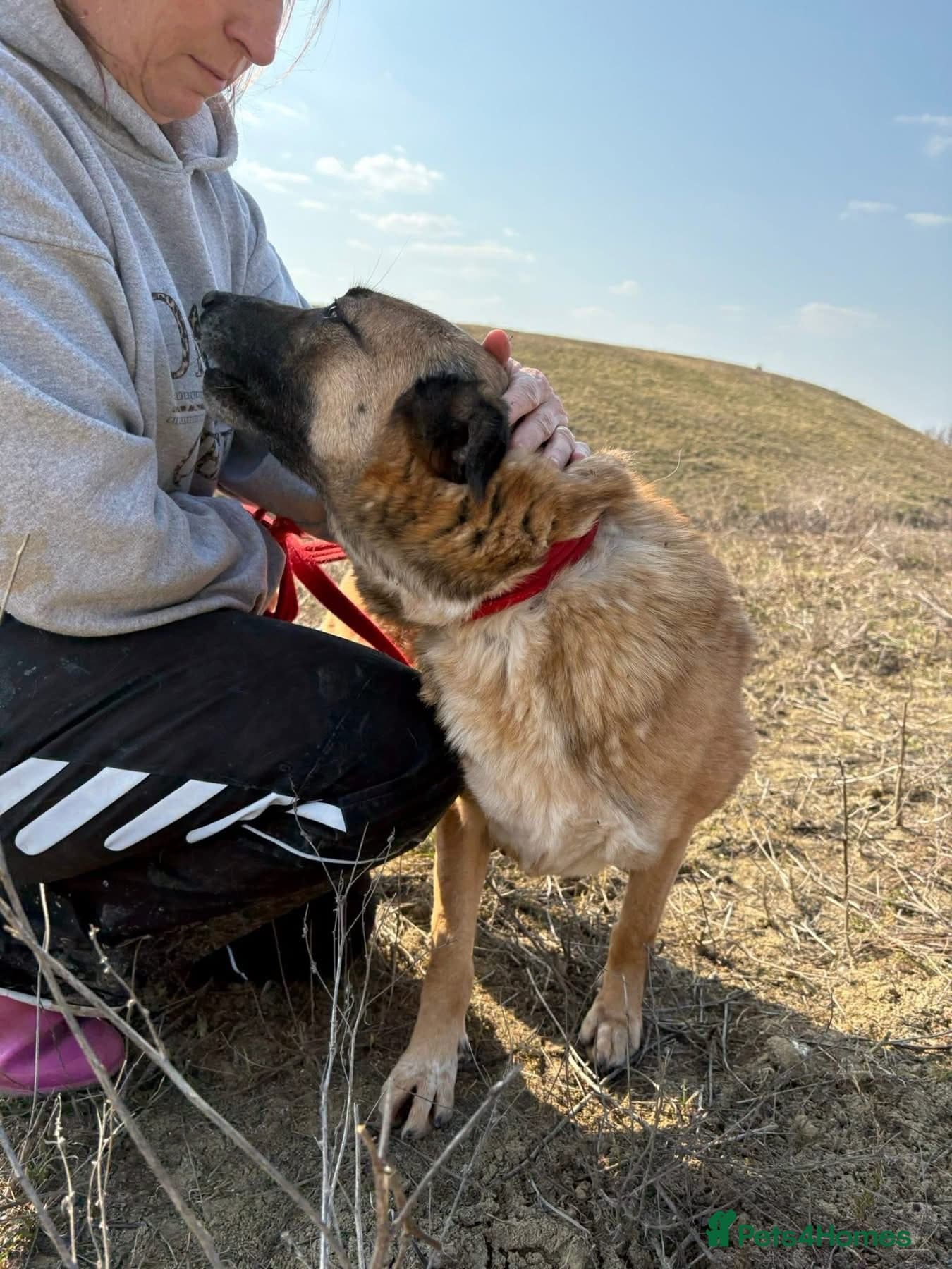 Thelma - Norwich Norfolk photo 10