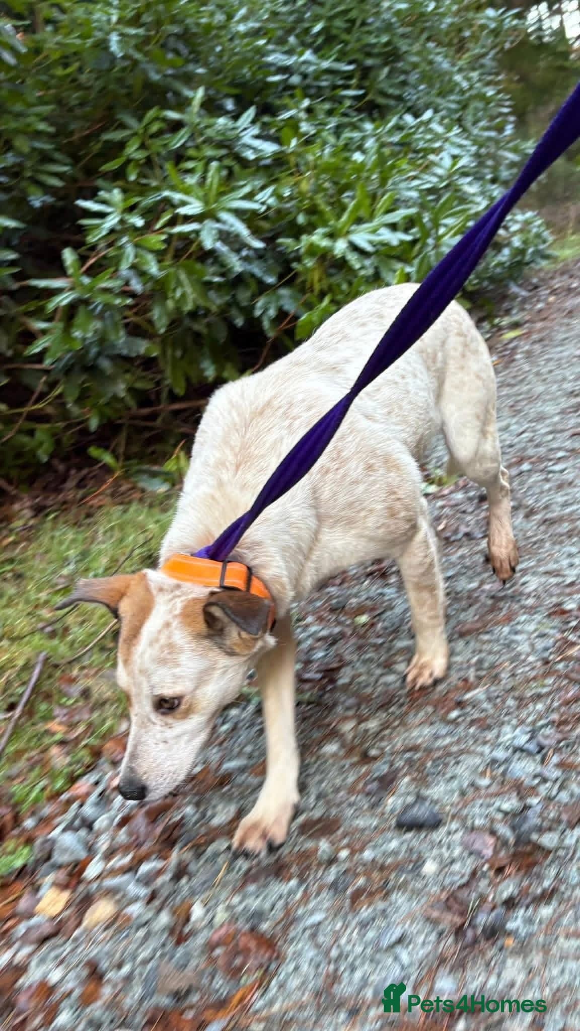 Trinity - Norwich Norfolk photo 8