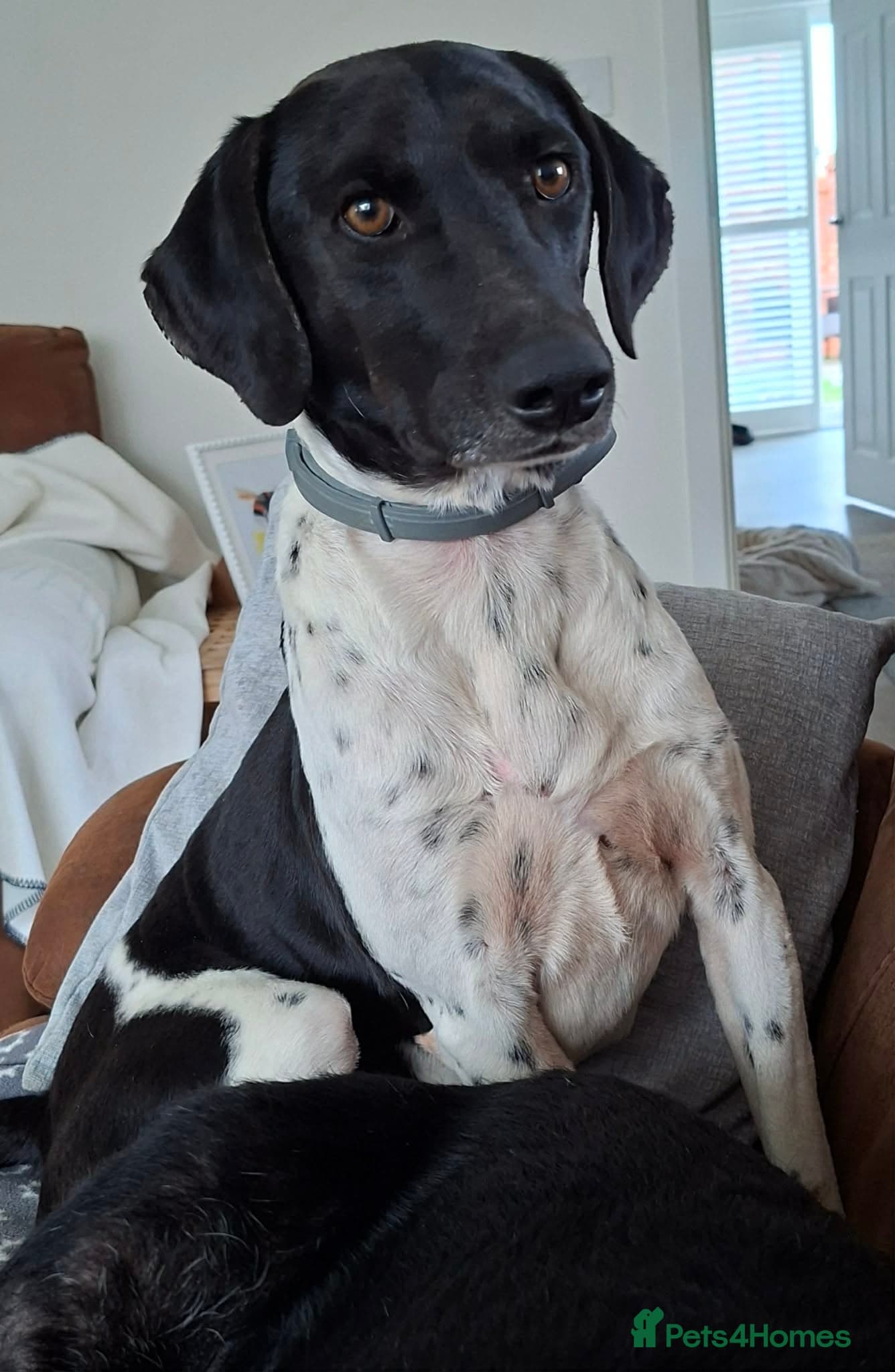 Stratos ! ❤️ a Cypriot sweetheart photo 10