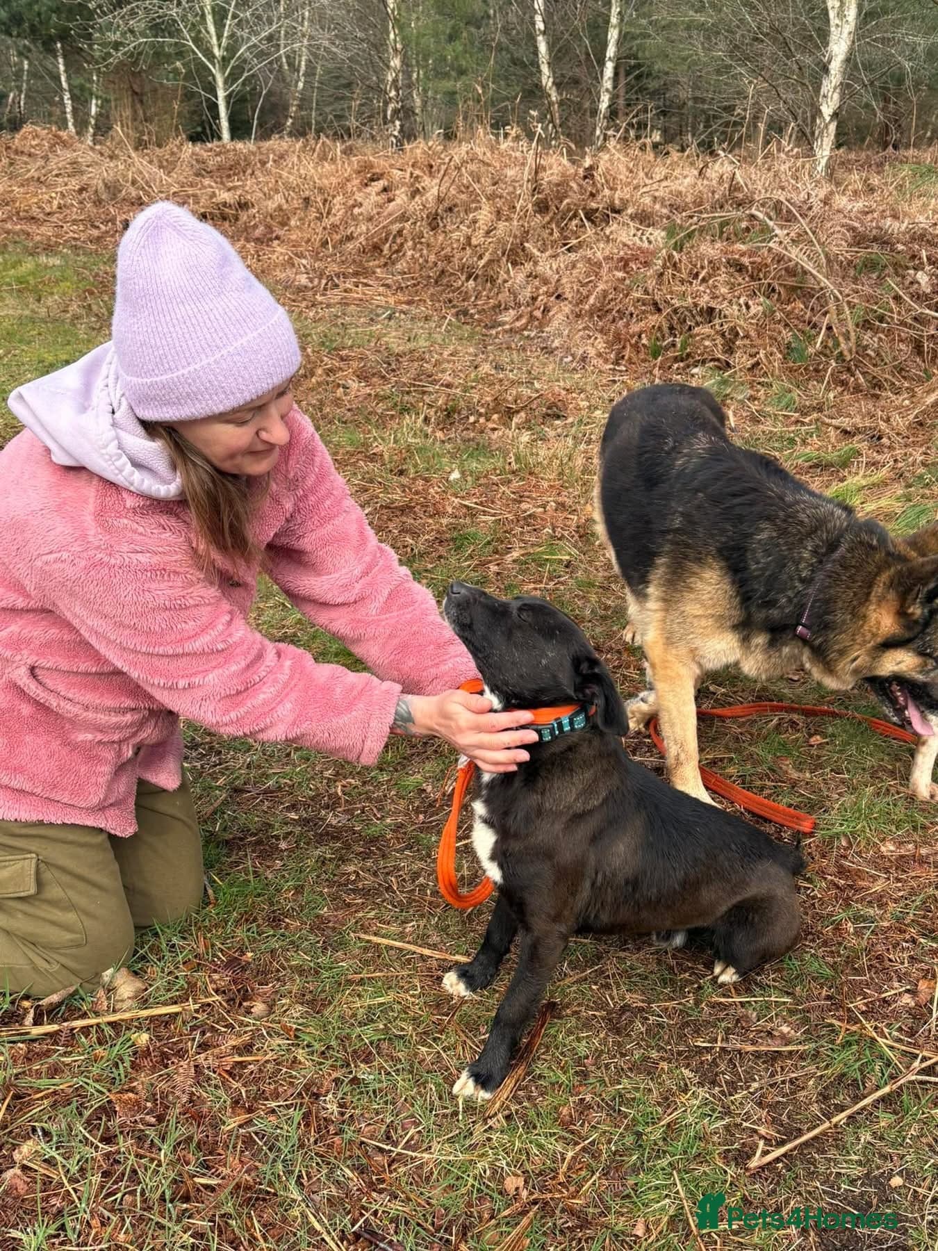 Penfold - Norwich Norfolk photo 12