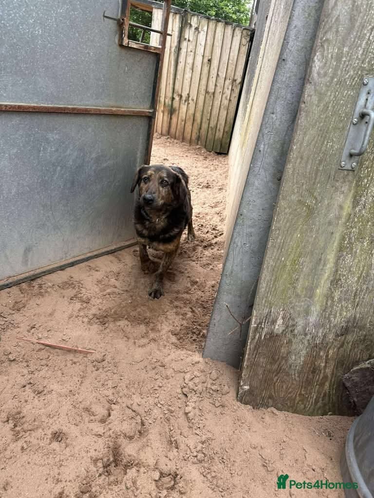 Meet Jess, currently residing in Essex photo 9