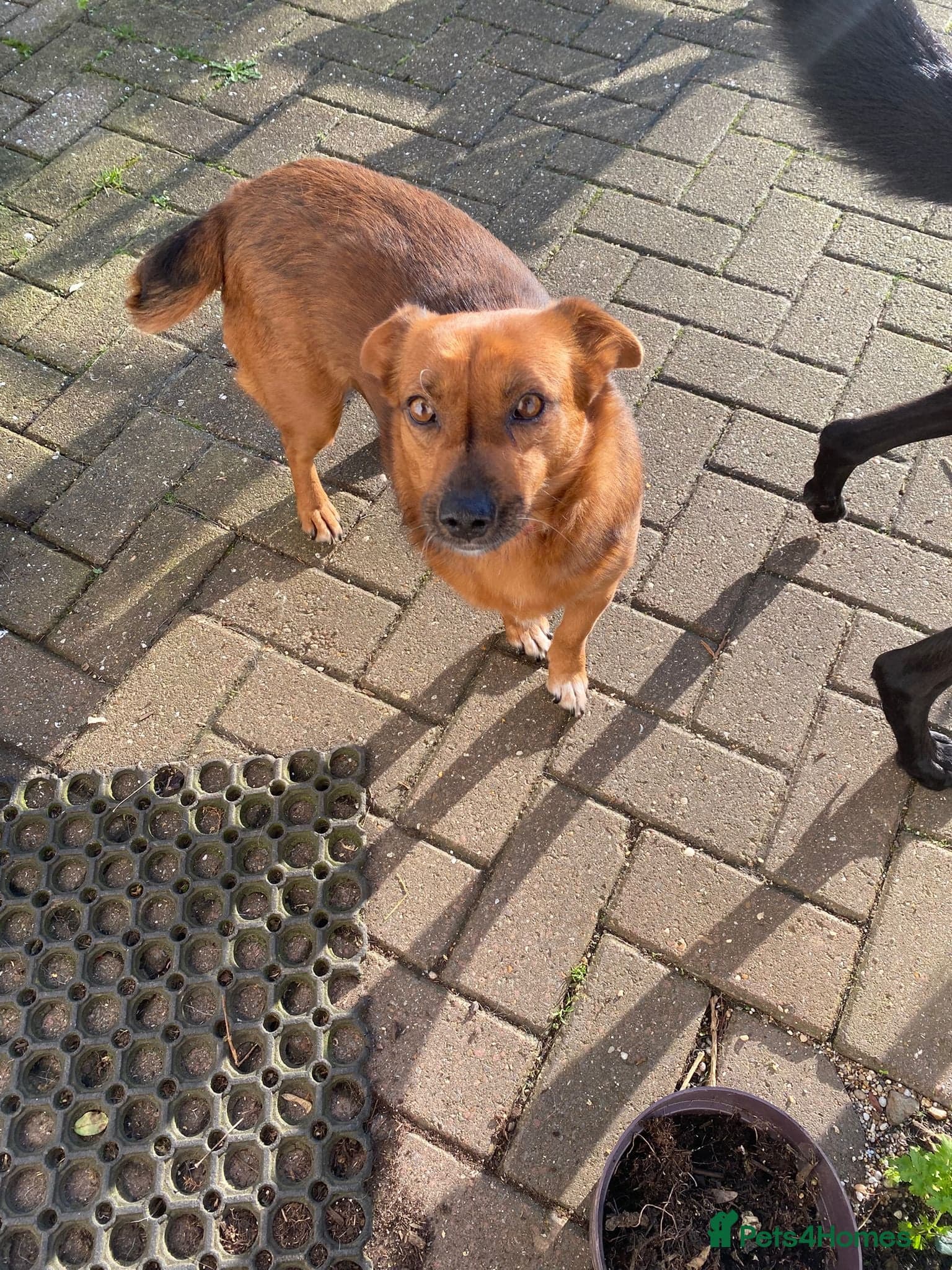 Dora the explorer photo 7