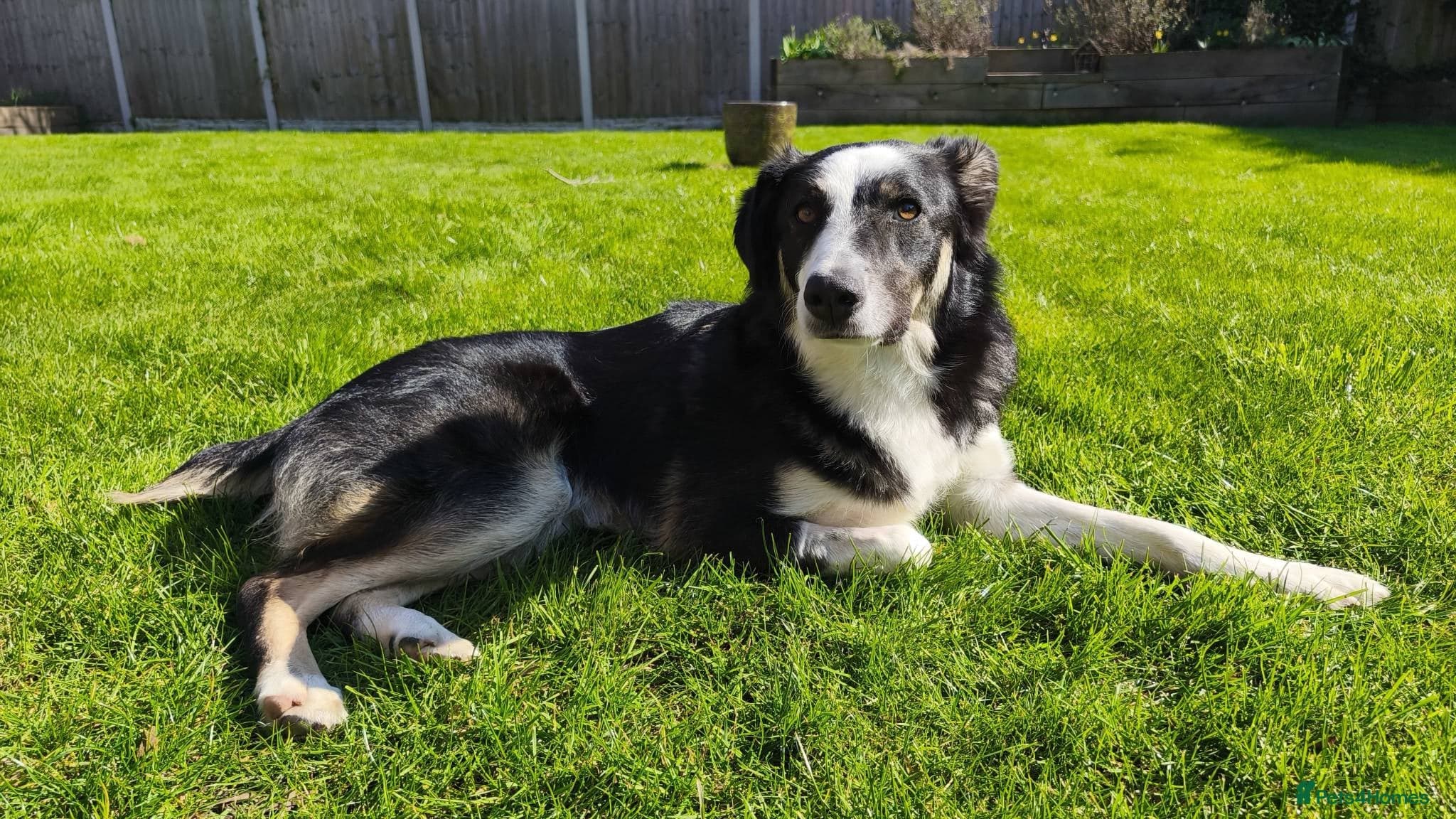 MAX๐ Let Down But Still Loving photo 8