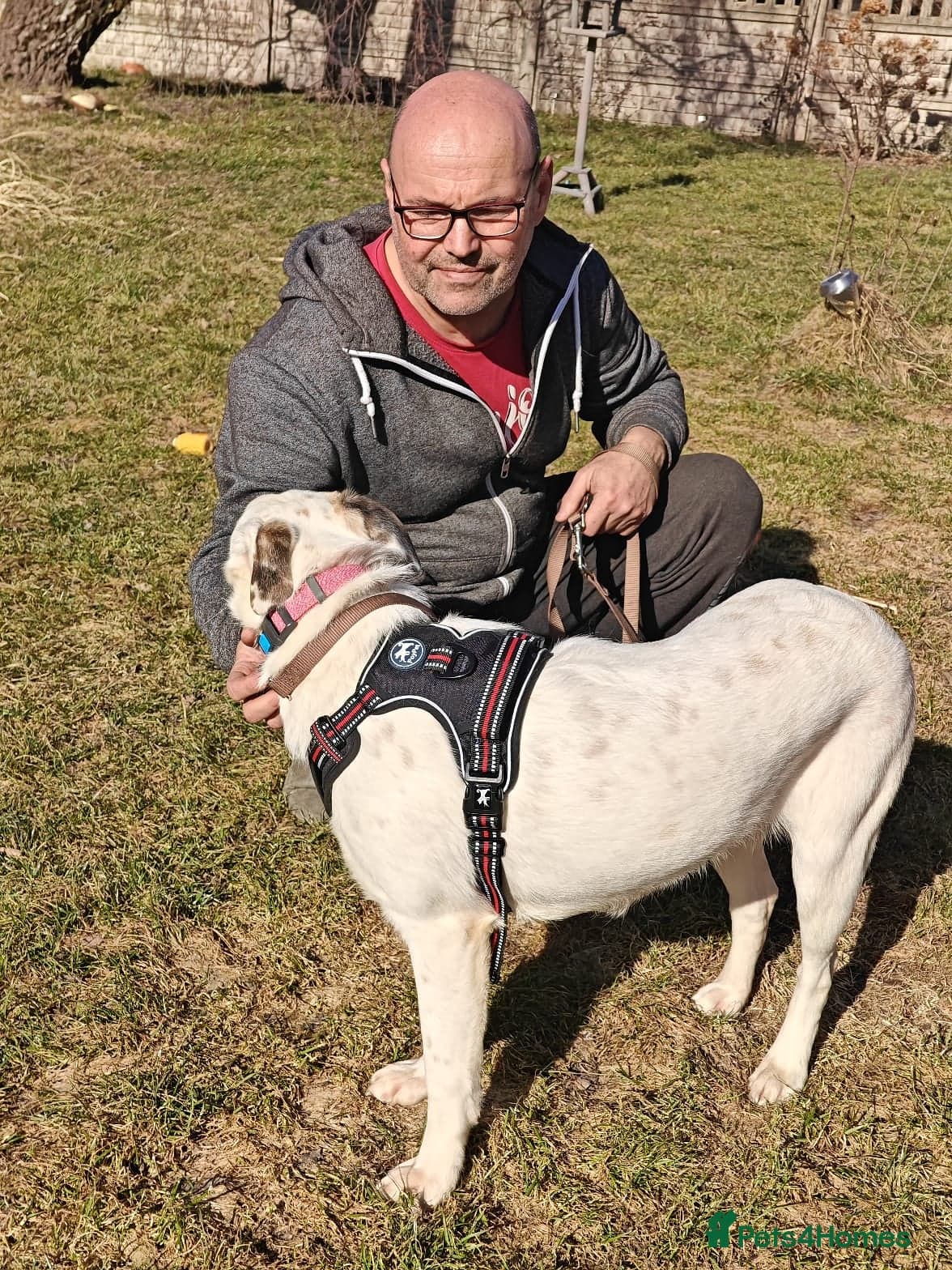 ️PLIAMKA❤️9-month-old loving and playful girl photo 17
