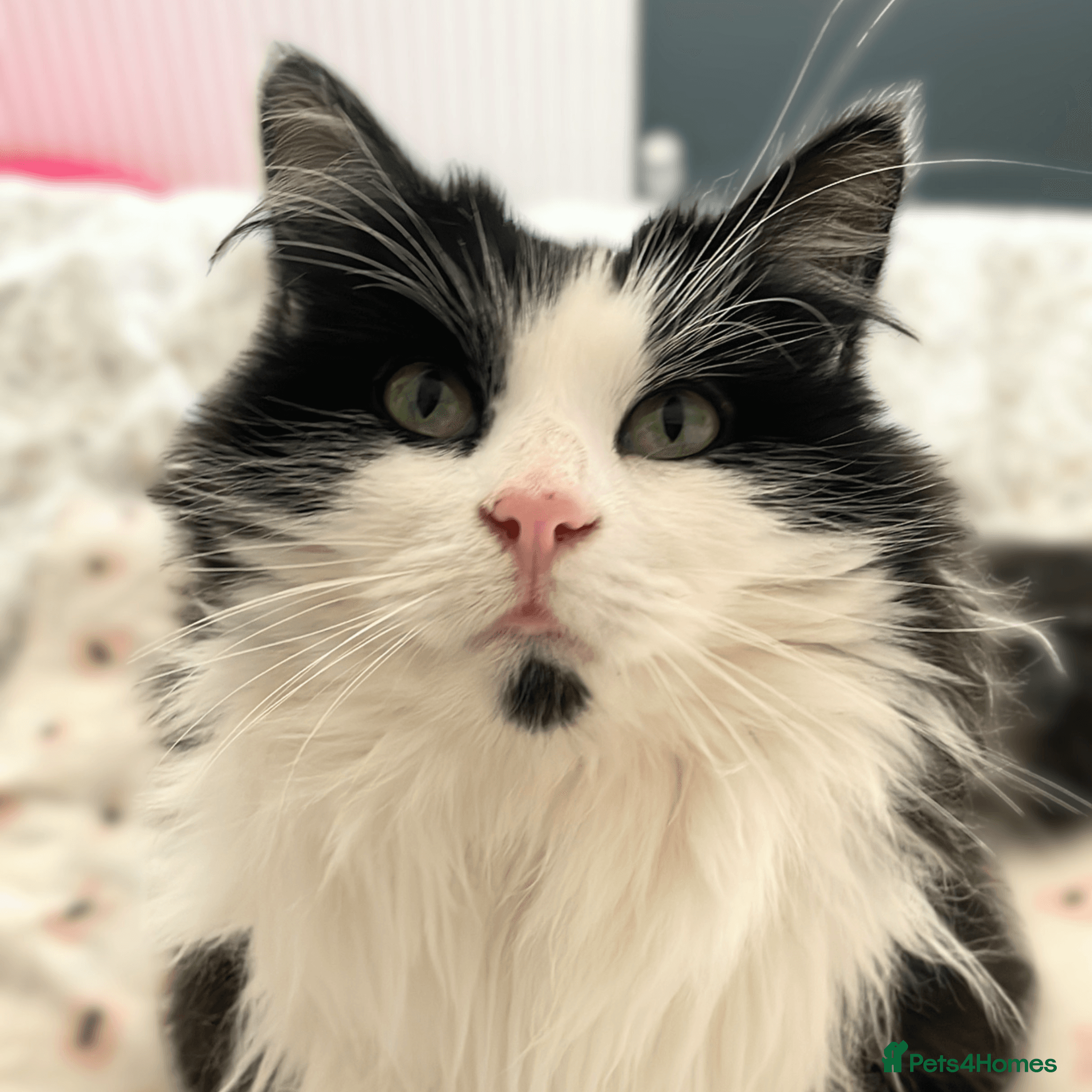 Sweet, Outdoorsy Girlie photo 2