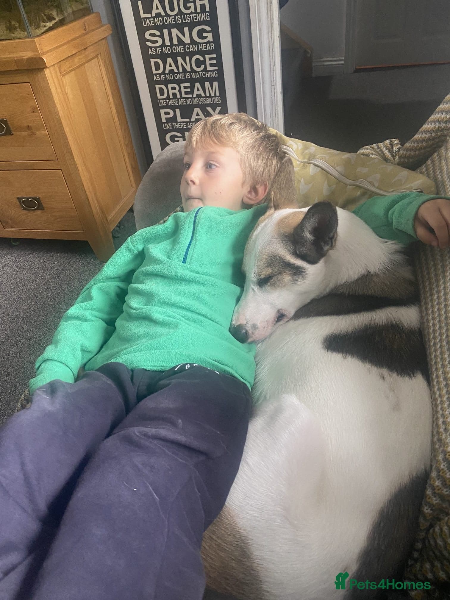 ️🐶 bela photo 13