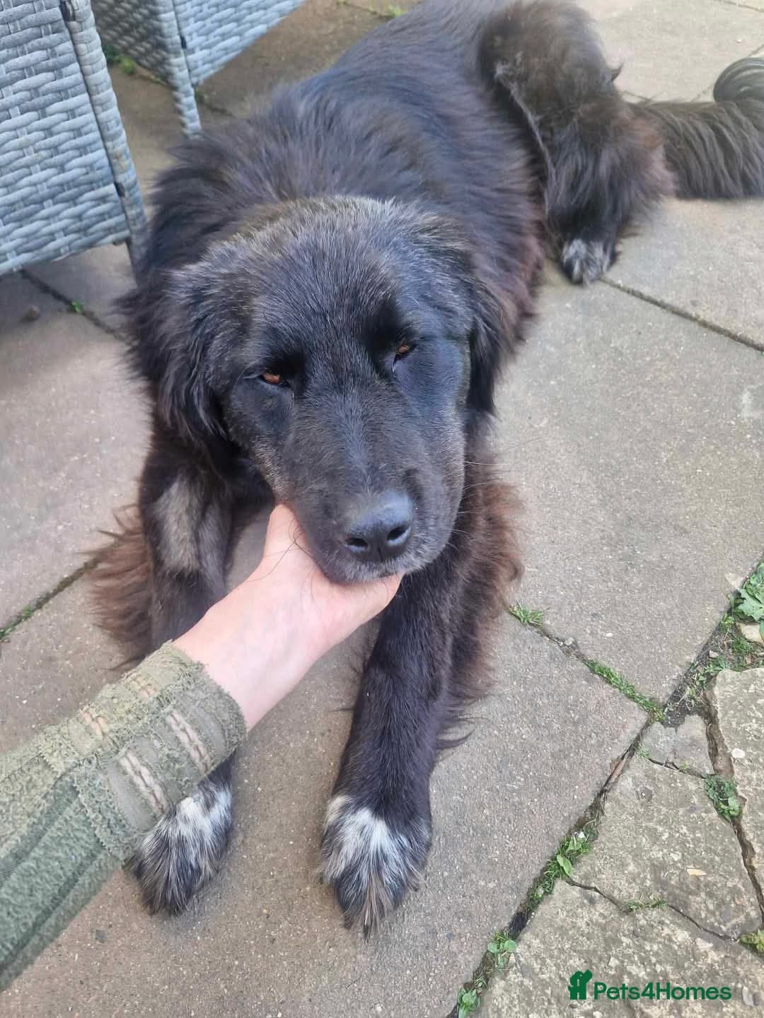 Meet Bryony, currently residing in Kent photo 6