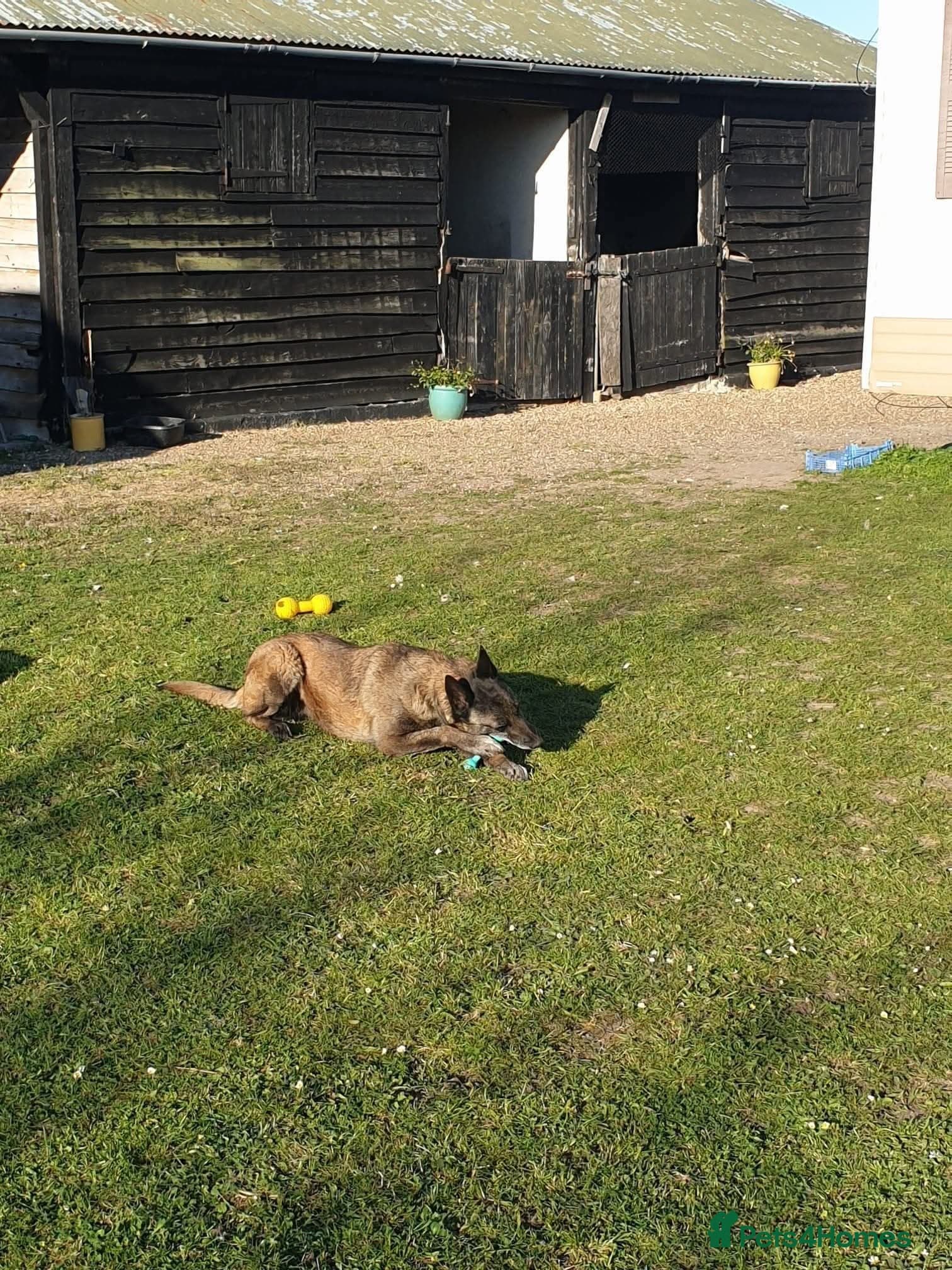 Meet Sasha, currently residing in Merseyside photo 8