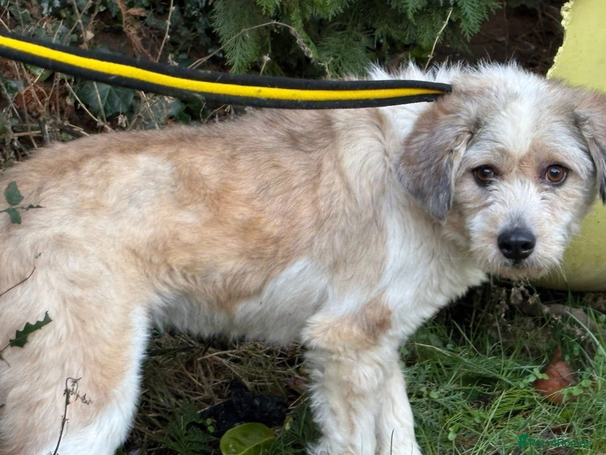 Kim - Norwich Norfolk photo 6