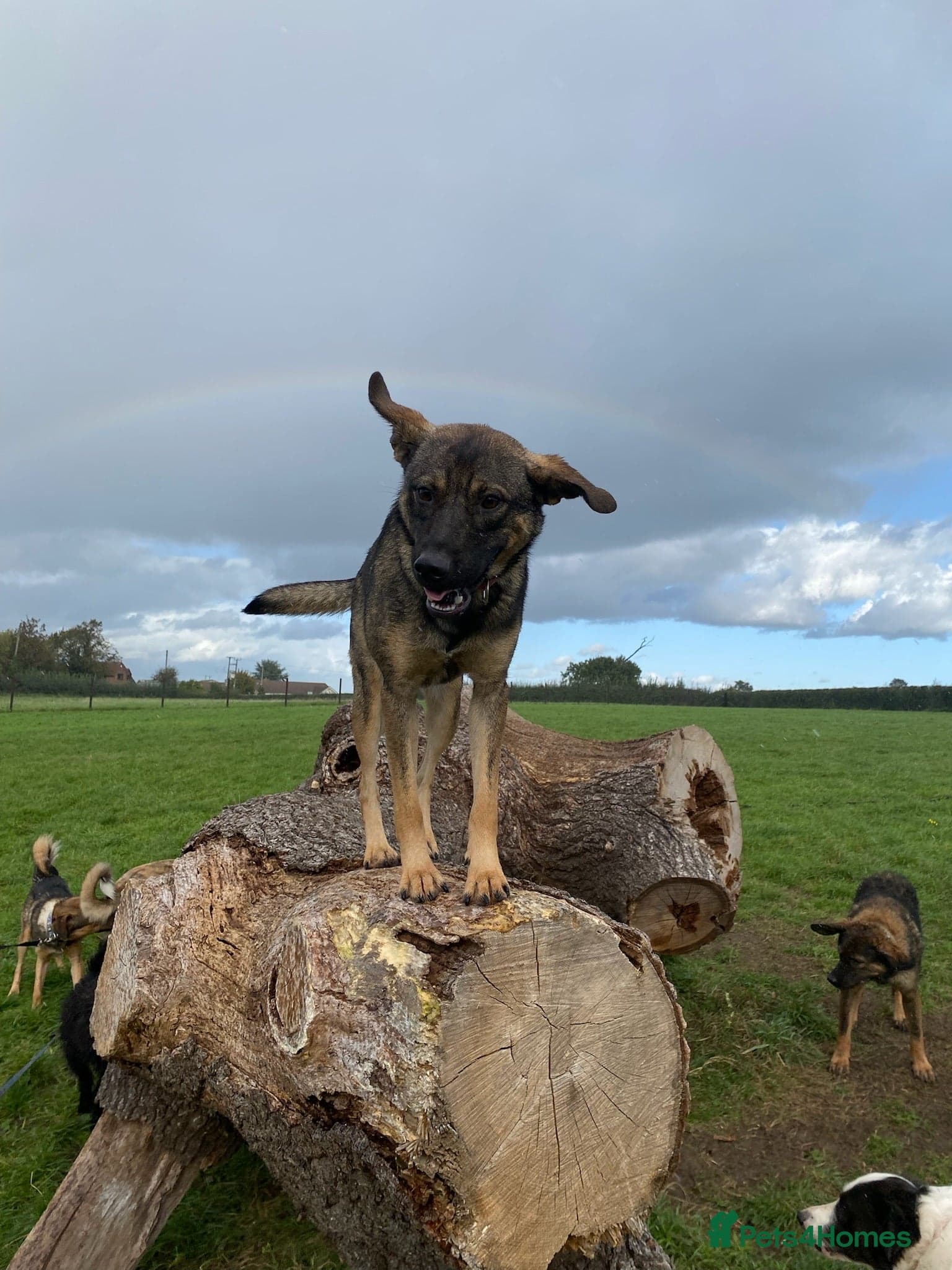 Luna ๐พ๐ photo 14