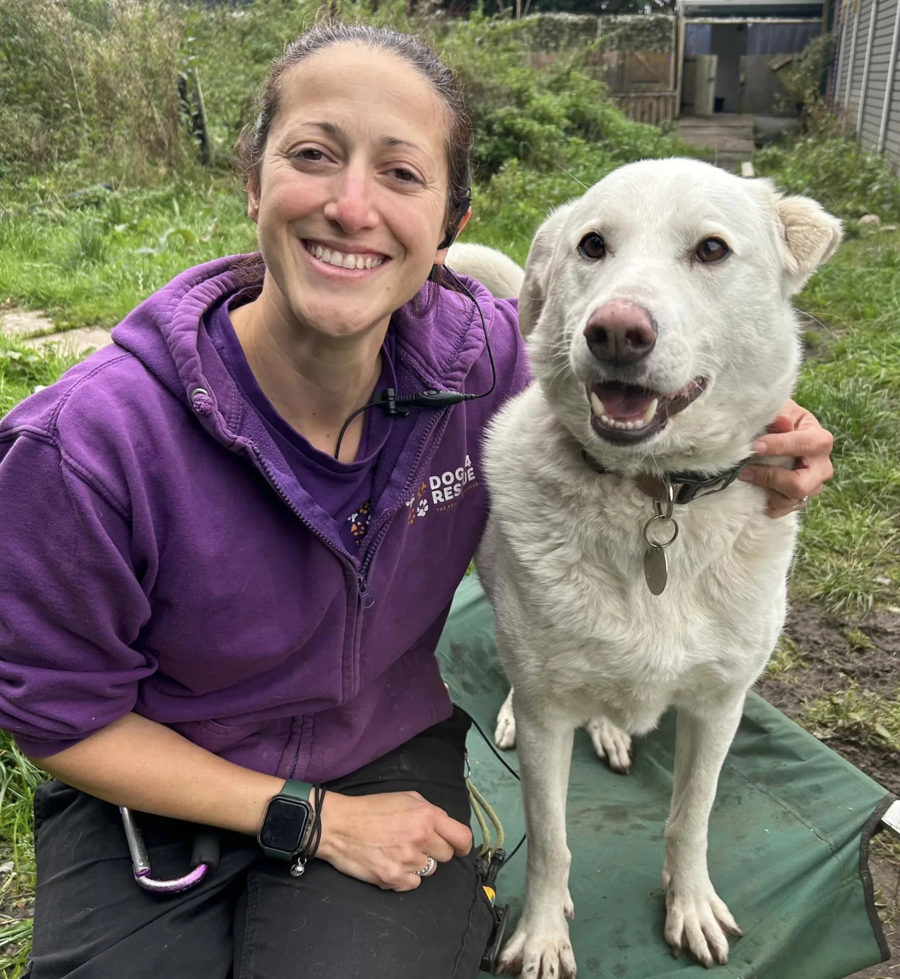 Elton — Cross-breed