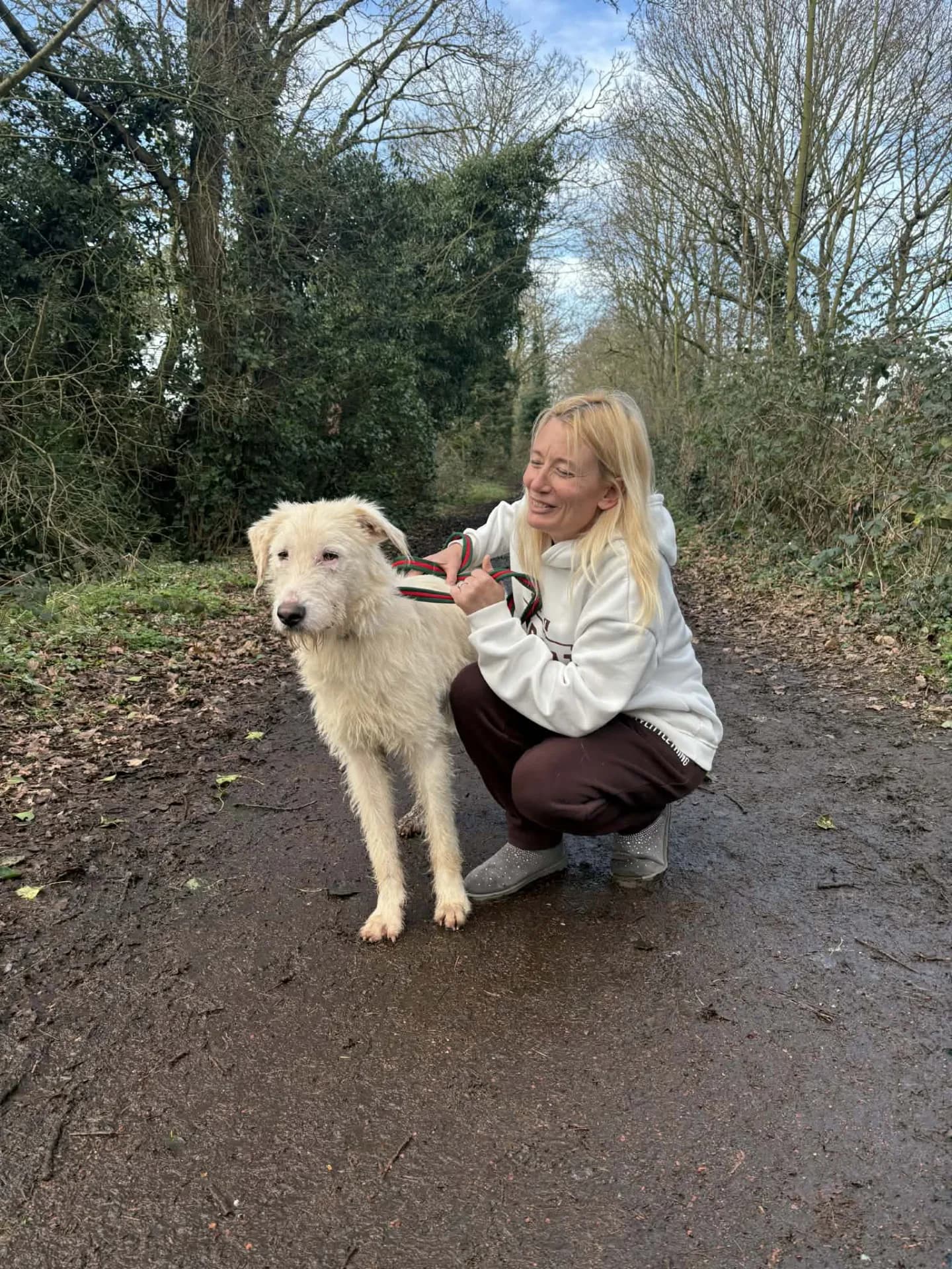 Peter — Mixed Breed